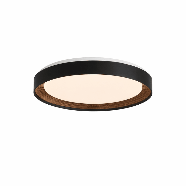 Lampa sufitowa Arco Acrylic