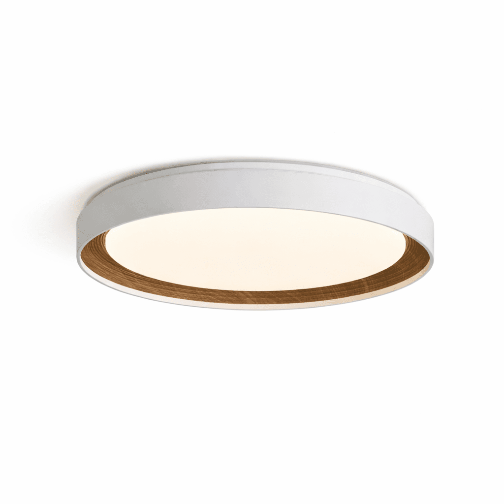 Lampa sufitowa Arco Acrylic
