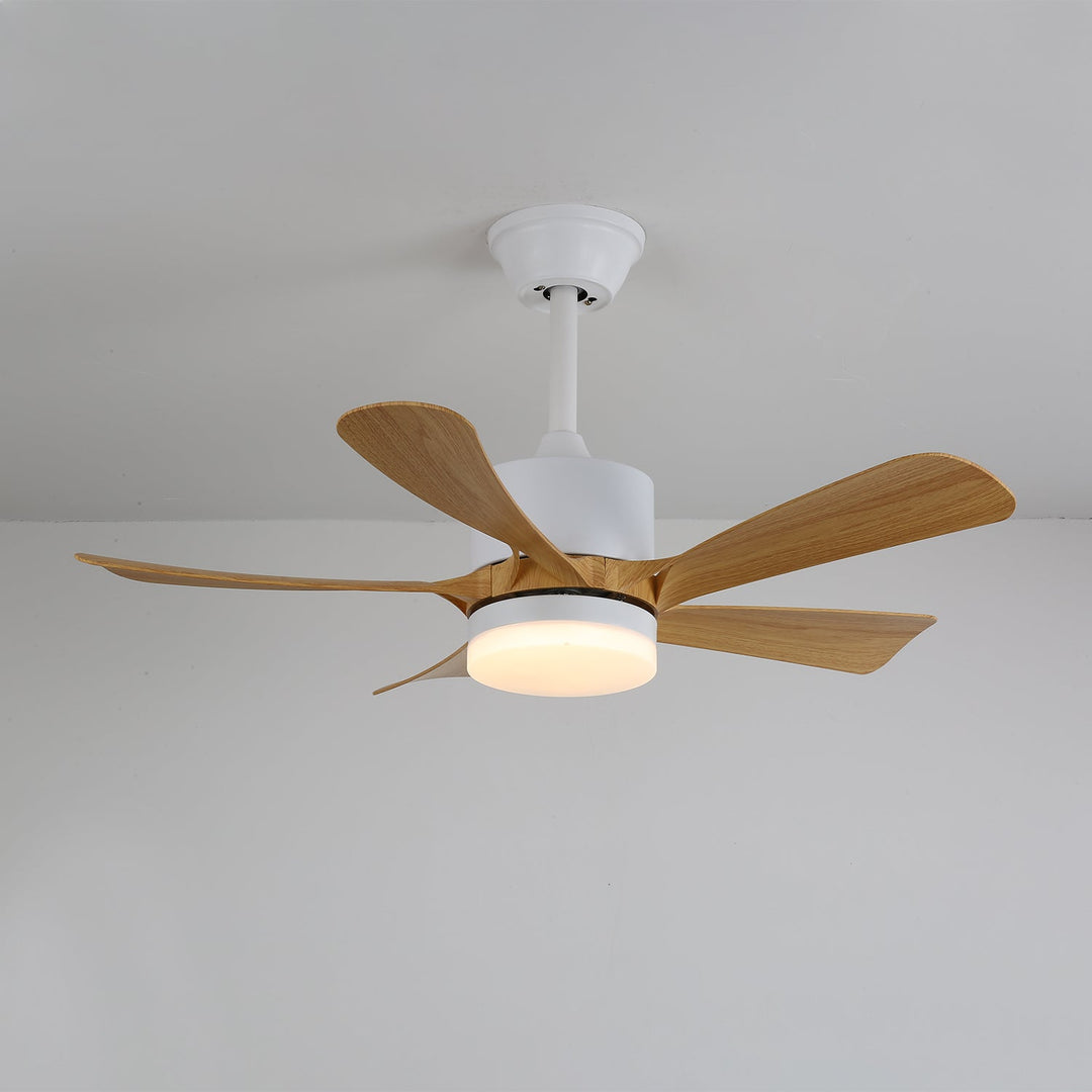 Lampa sufitowa wentylatora Avenli