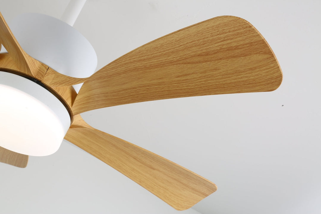 Lampa sufitowa wentylatora Avenli