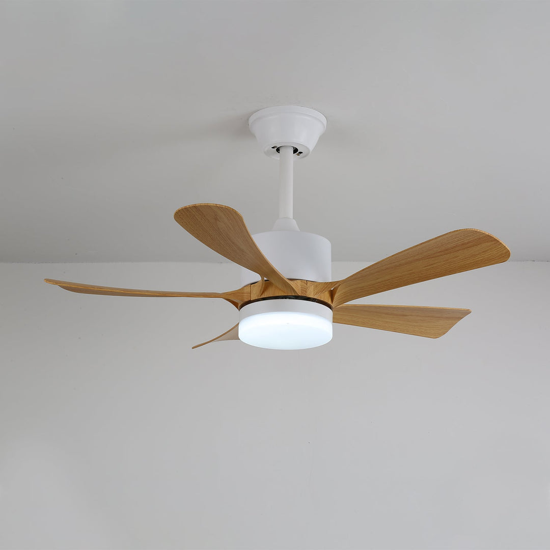 Lampa sufitowa wentylatora Avenli