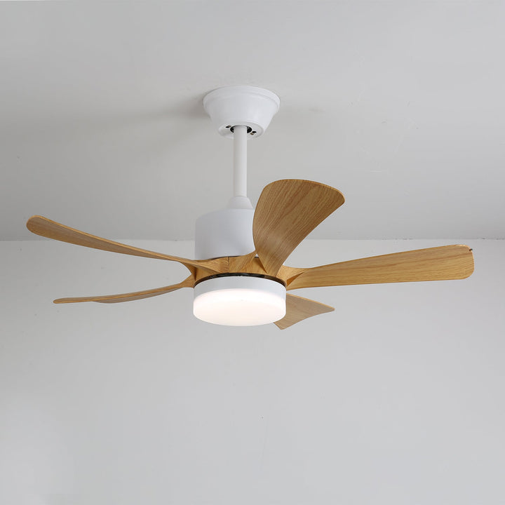 Lampa sufitowa wentylatora Avenli