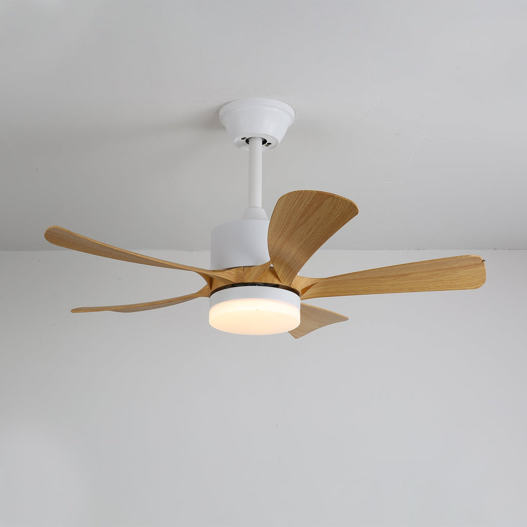 Lampa sufitowa wentylatora Avenli