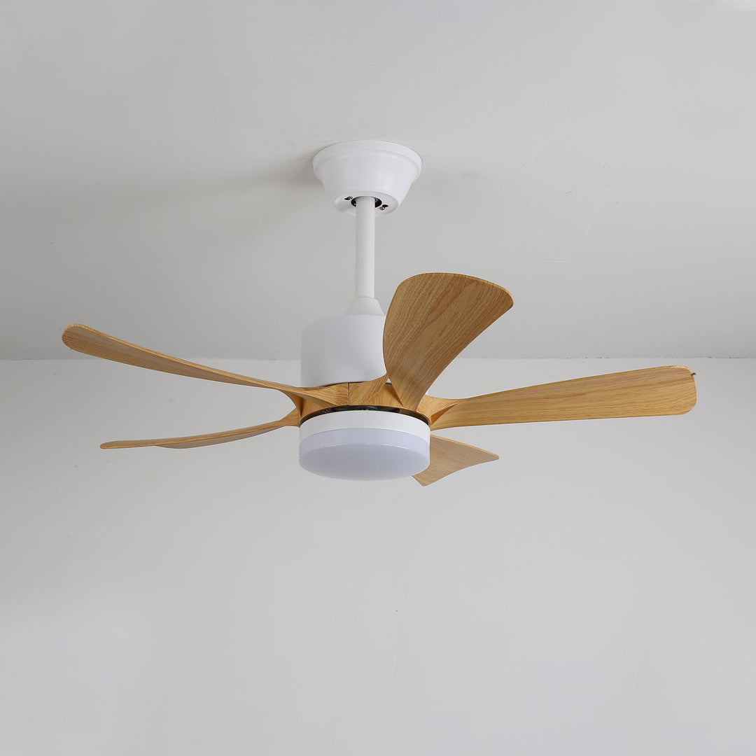 Lampa sufitowa wentylatora Avenli