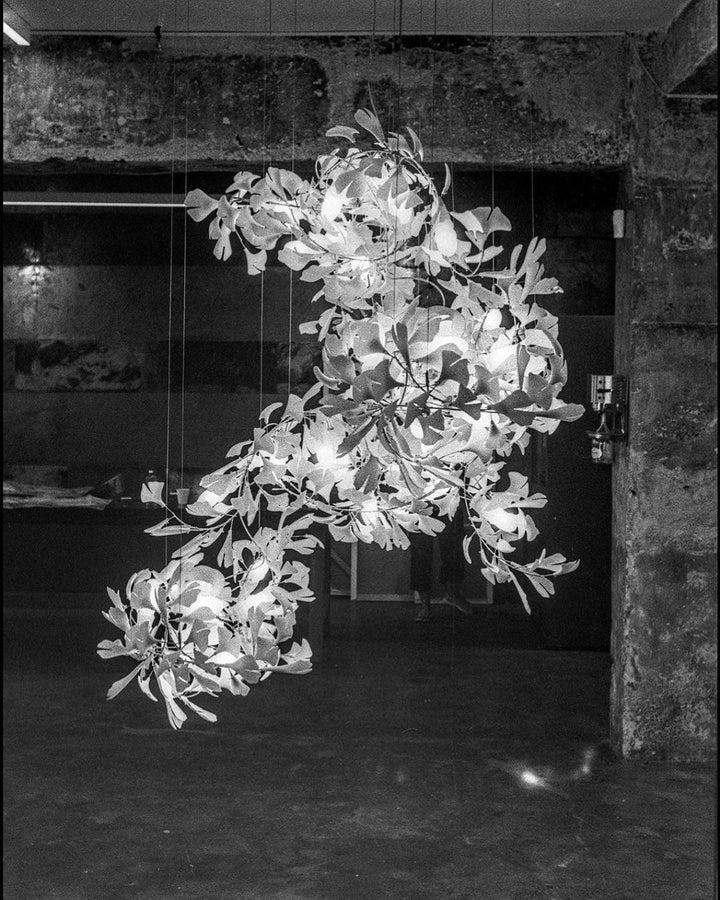 Żyrandol Gingko Vortex