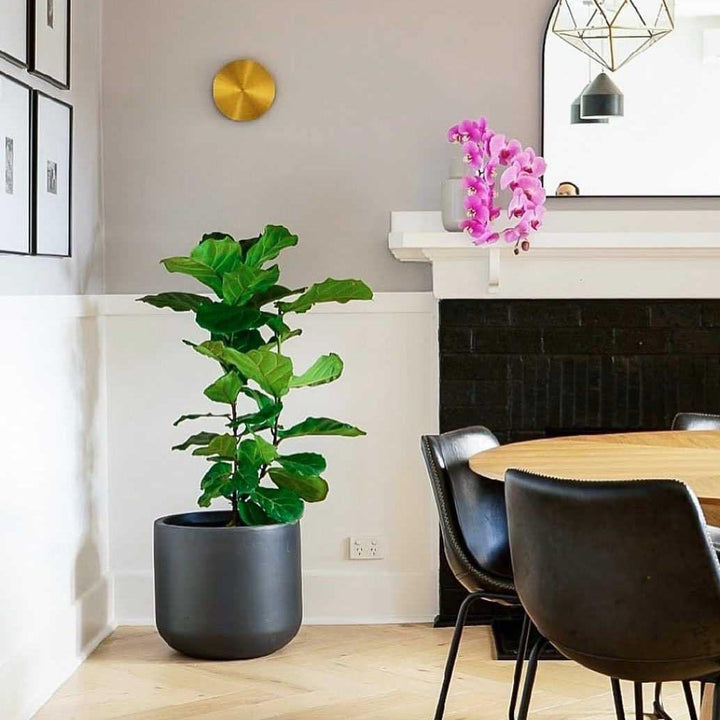 Lampa ścienna Gossa
