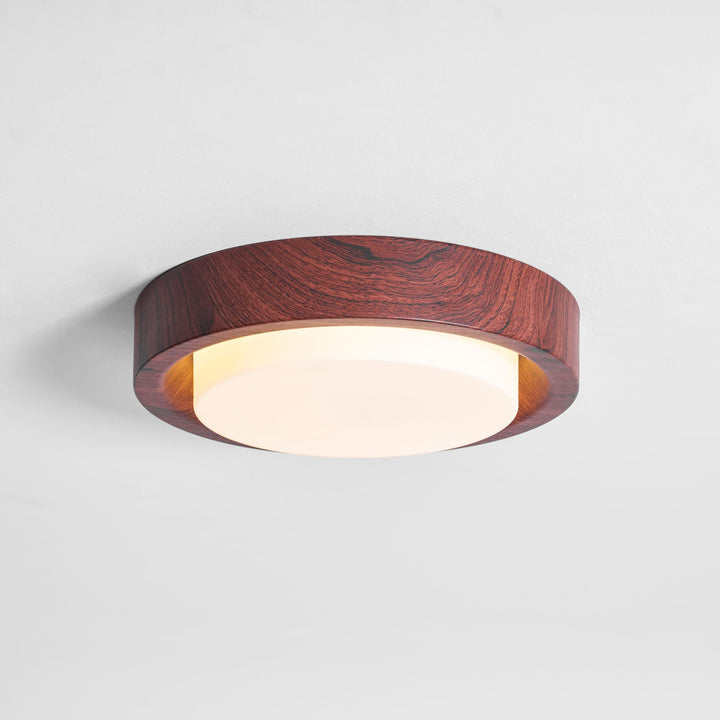 Lampa sufitowa Lunar Ring