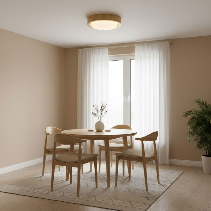 Lampa sufitowa Lunar Ring