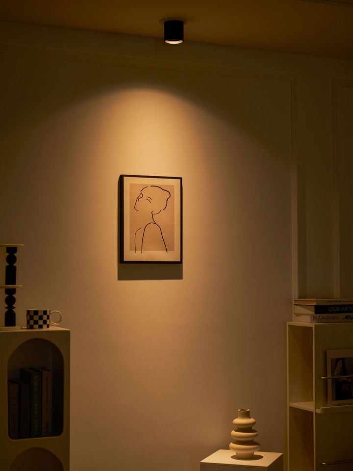 Lampa sufitowa Modupoint
