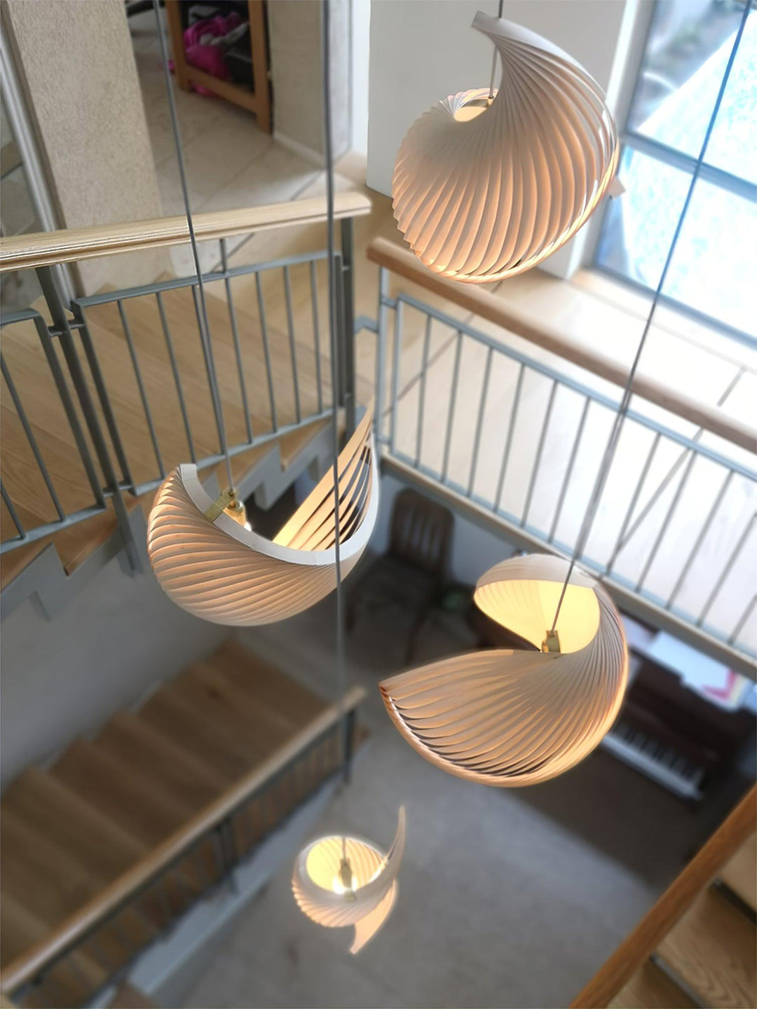 Lampa wisząca z muszli nautilusa