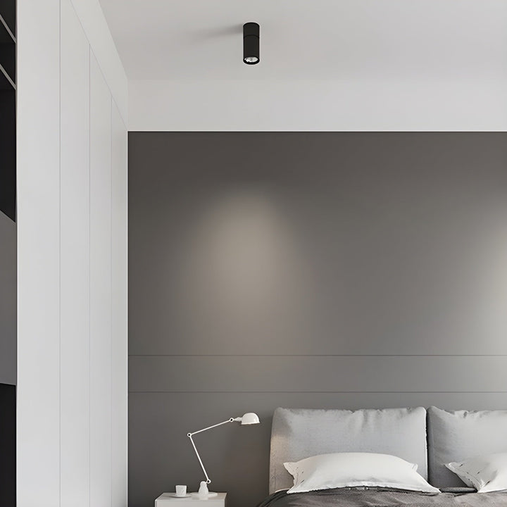 Oliver Tube Surface Downlight
