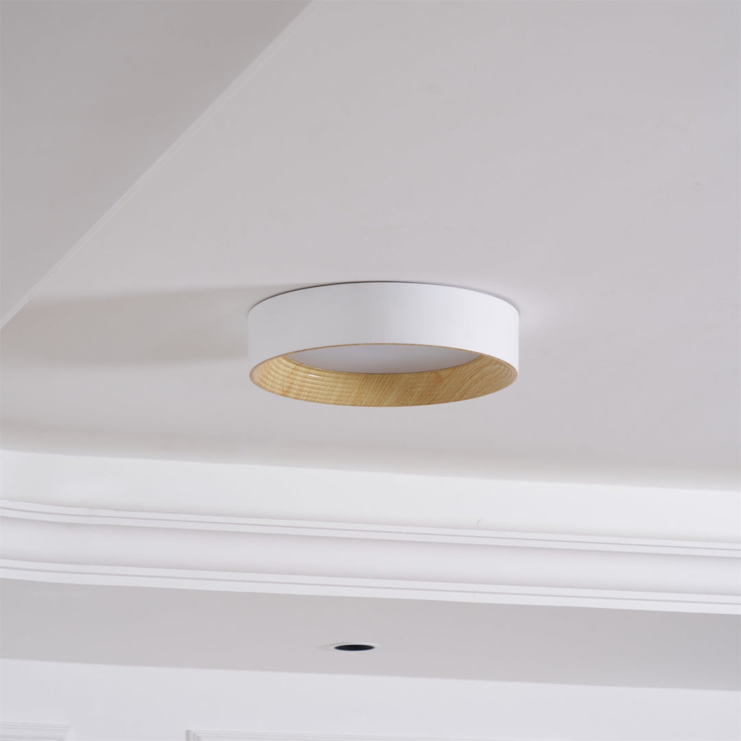 Lampa sufitowa Oreen