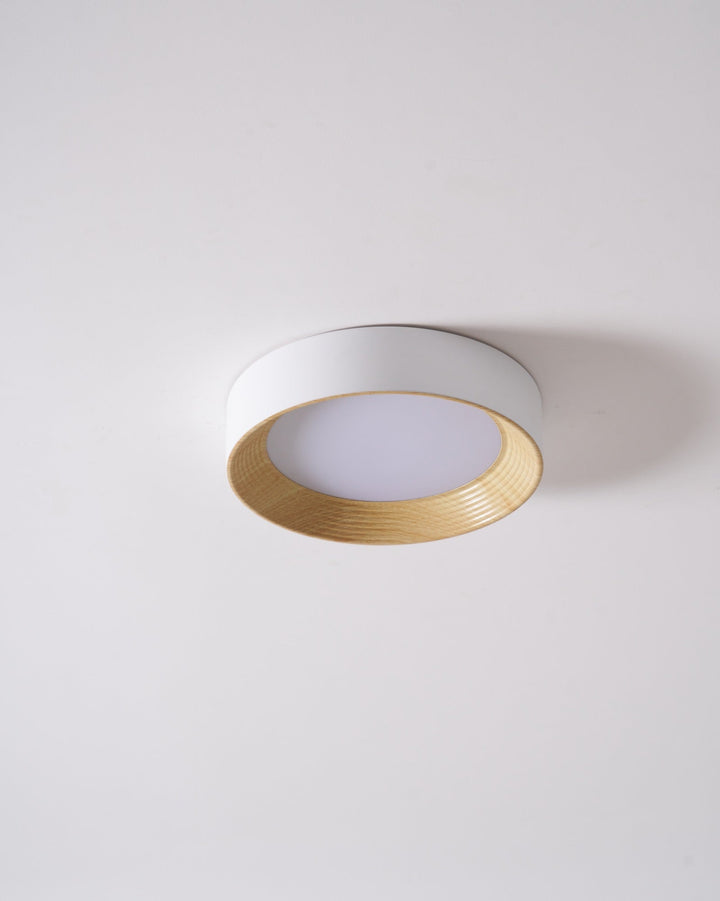 Lampa sufitowa Oreen