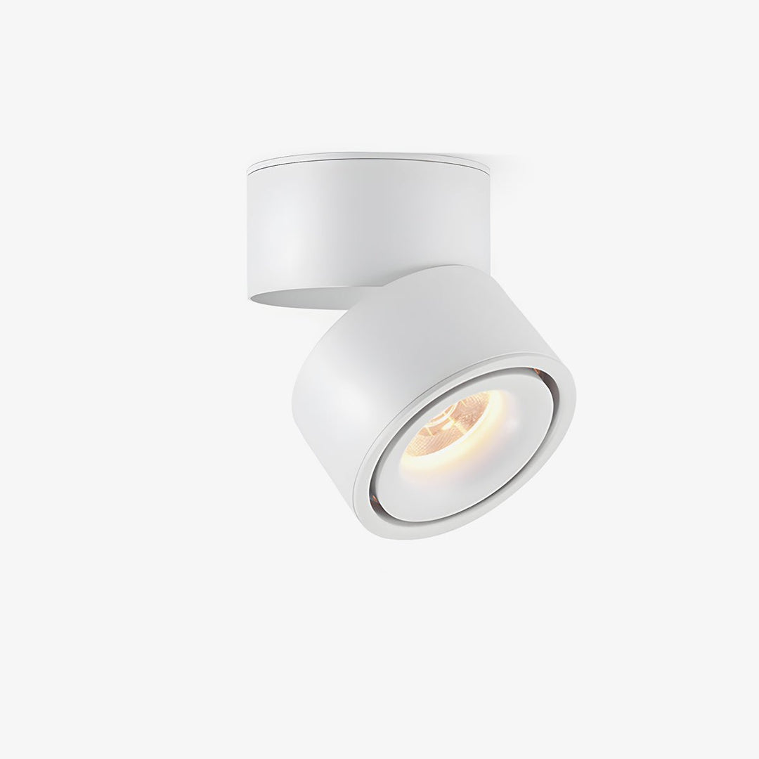 Obrotowa Lampa Sufitowa z Reflektorem