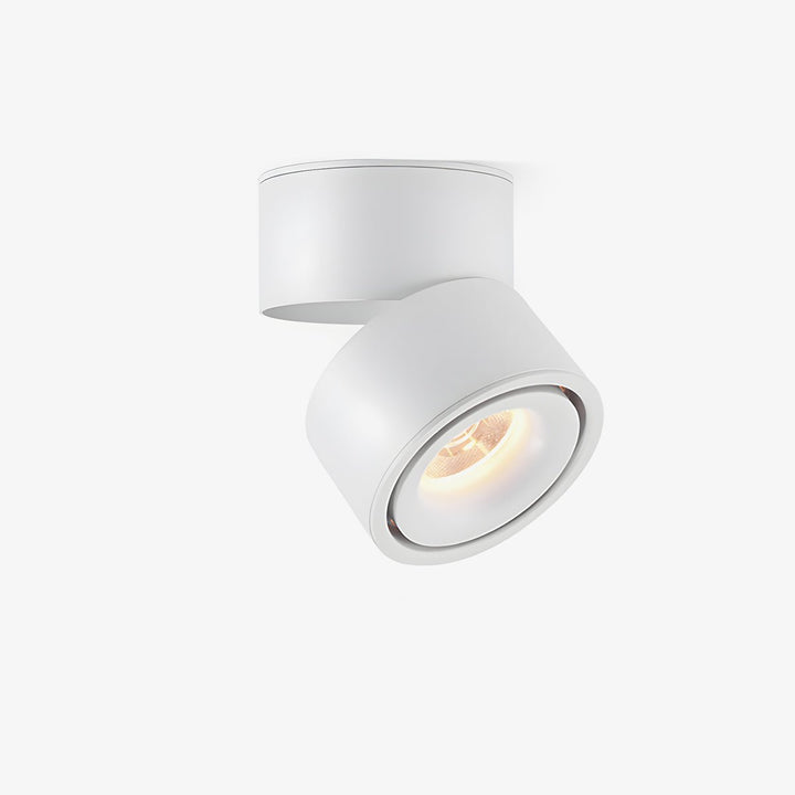 Obrotowa Lampa Sufitowa z Reflektorem