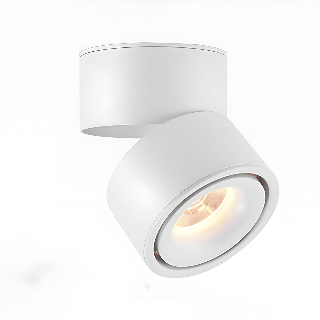 Obrotowa Lampa Sufitowa z Reflektorem
