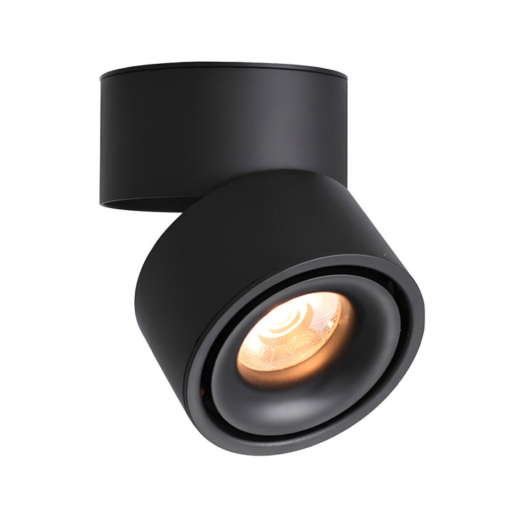 Obrotowa Lampa Sufitowa z Reflektorem