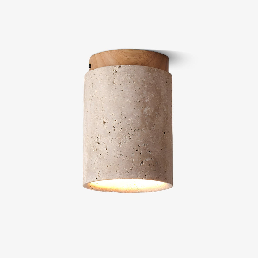 Lampa sufitowa Terra Cylinder