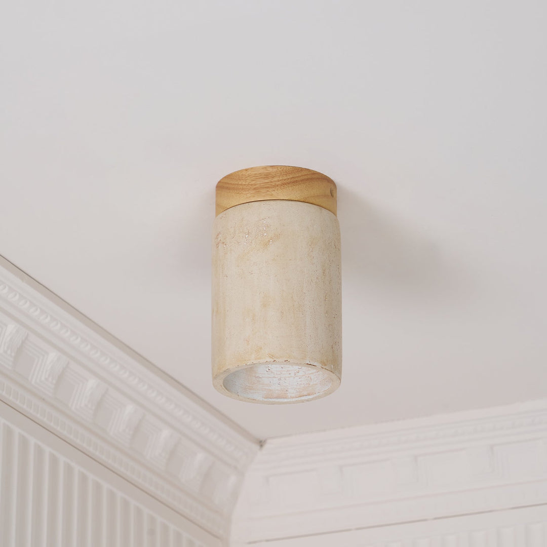 Lampa sufitowa Terra Cylinder