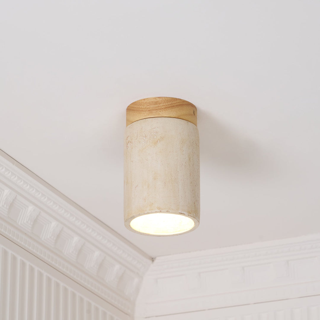 Lampa sufitowa Terra Cylinder
