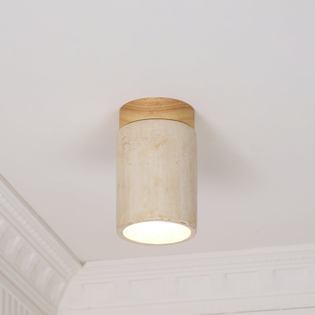 Lampa sufitowa Terra Cylinder