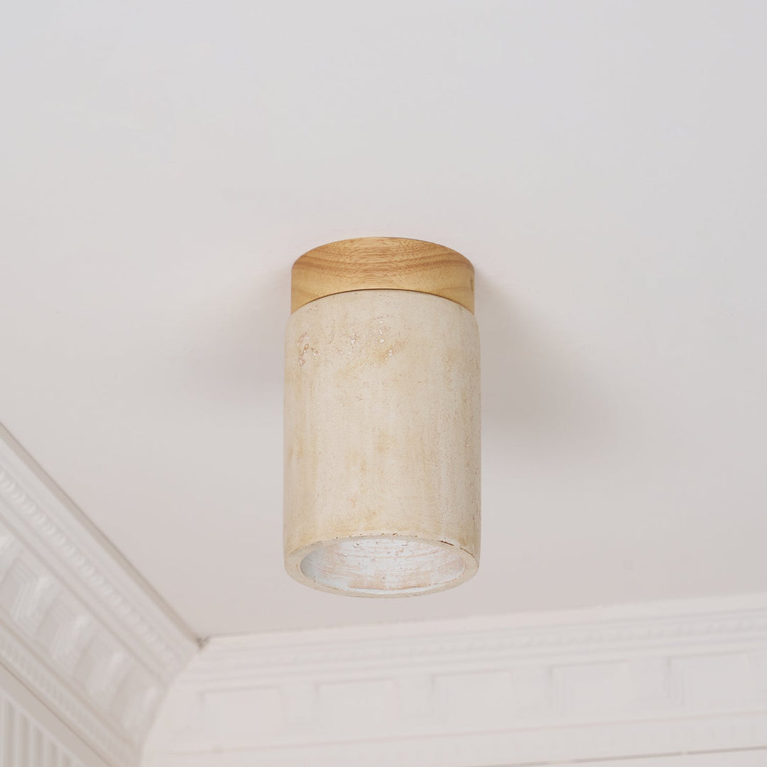 Lampa sufitowa Terra Cylinder