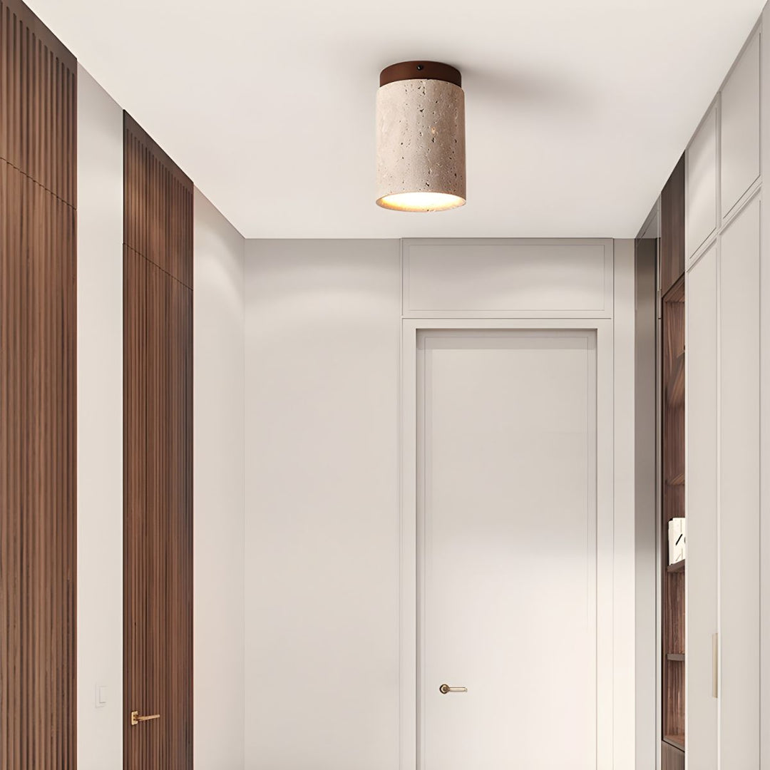 Lampa sufitowa Terra Cylinder