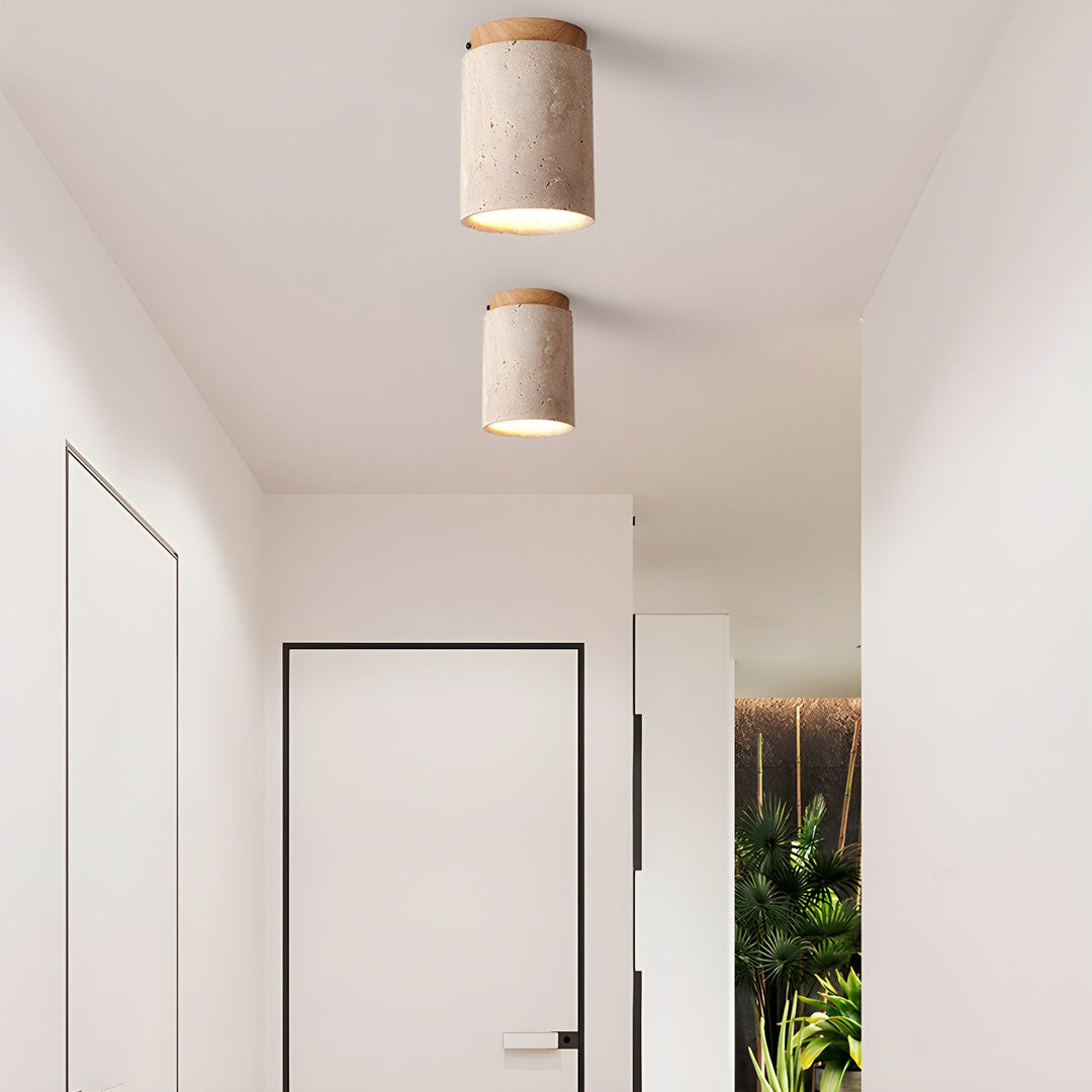 Lampa sufitowa Terra Cylinder
