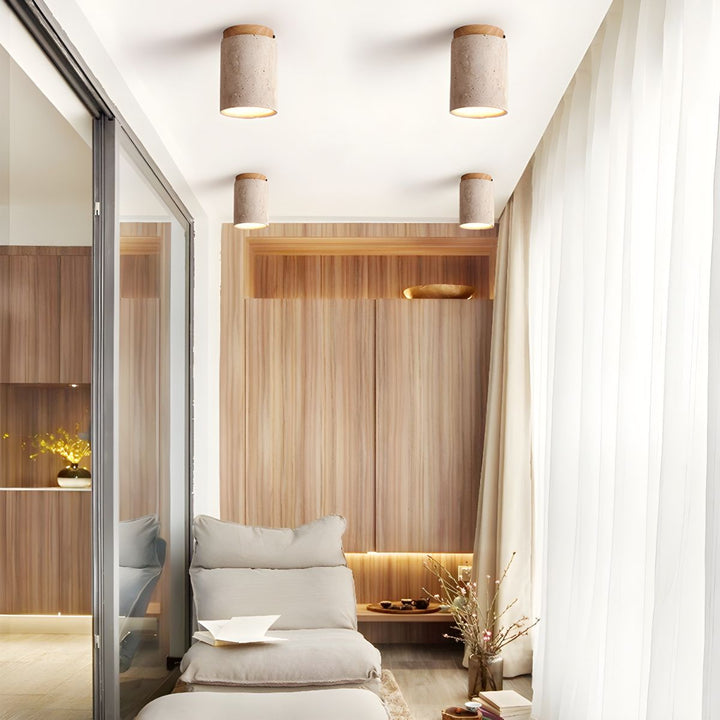 Lampa sufitowa Terra Cylinder