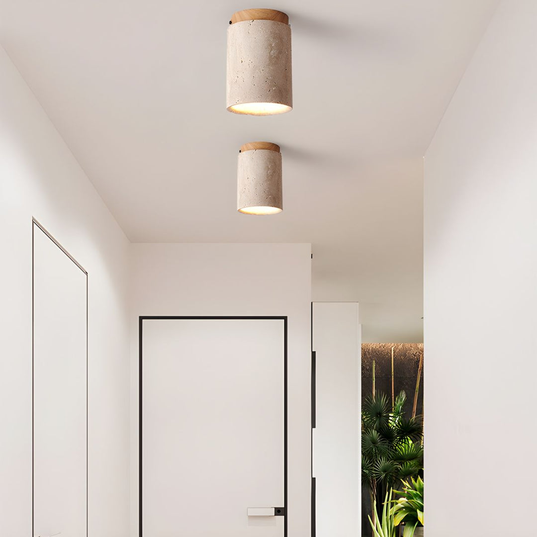 Lampa sufitowa Terra Cylinder