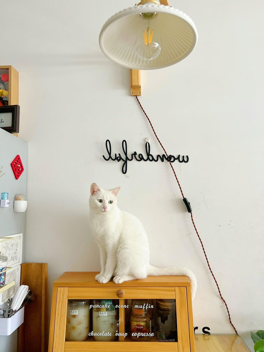 Lampa Ścienna Telescopowa Orzechowa