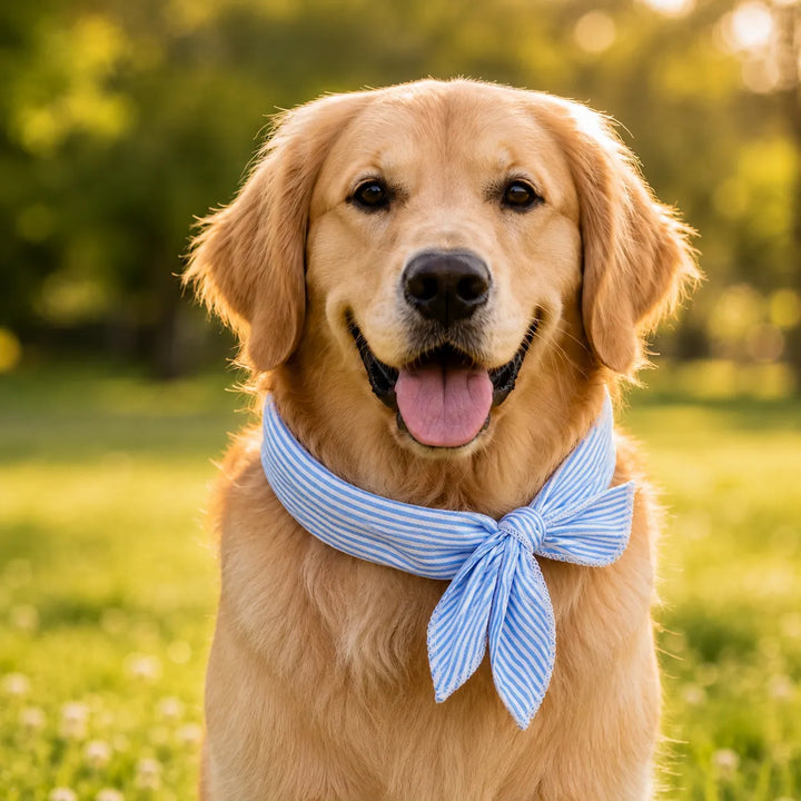 Coolpup – Wielokrotnego użytku chłodząca bandana dla psów, letni szal na szyję bez zamrażania (2 szt.)