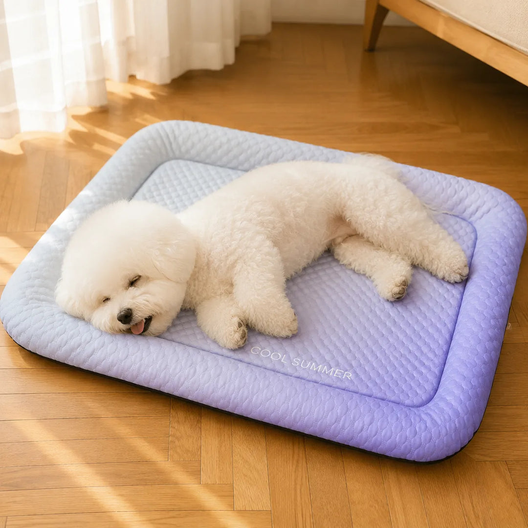 PawChill – Mata chłodząca dla psów z poduszką i antypoślizgową podstawą