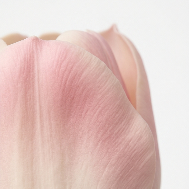 Lumora – Bukiet Tulipanów Real Touch