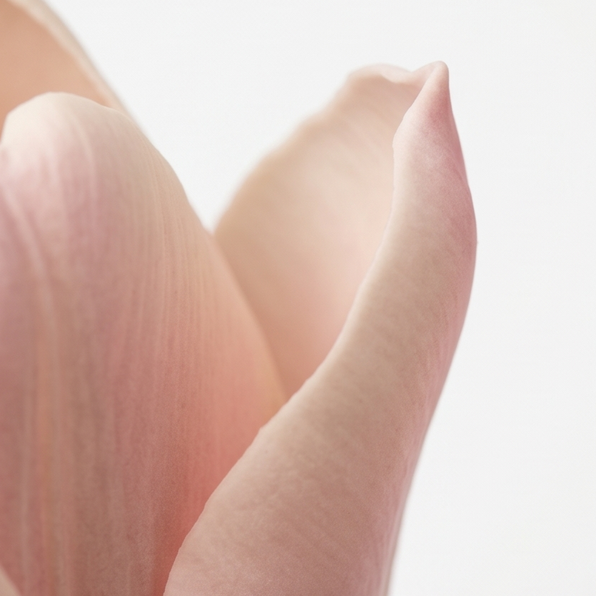 Lumora – Bukiet Tulipanów Real Touch