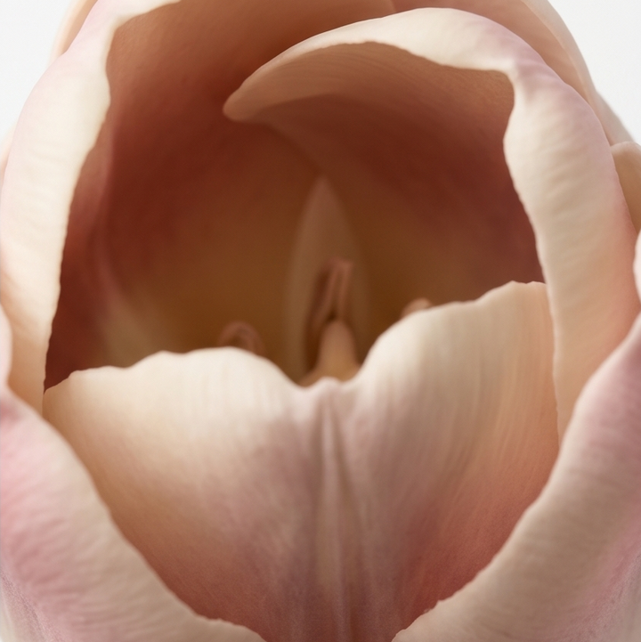 Lumora – Bukiet Tulipanów Real Touch