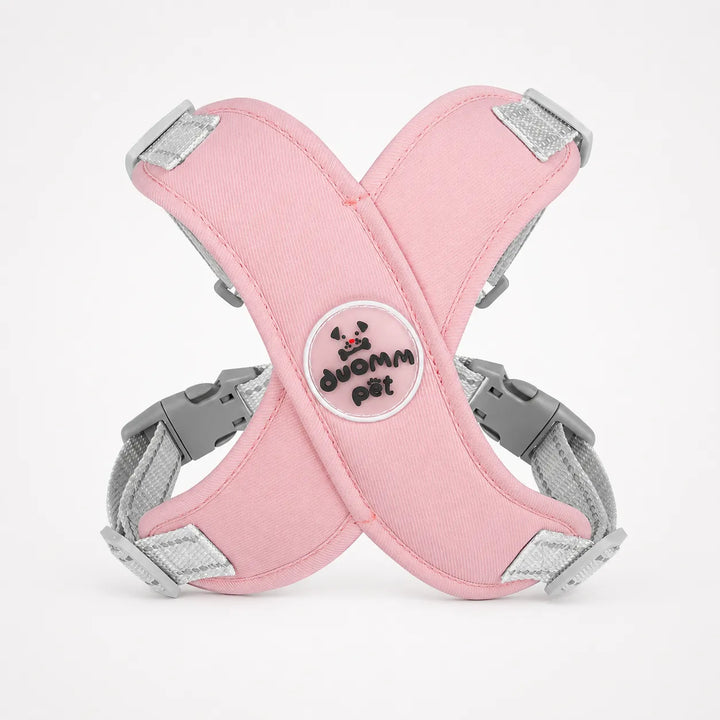 Pawlyn – Zestaw uprzęży i smyczy X Frame No Pull dla małych ras